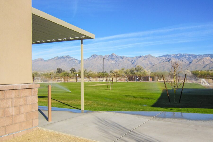 project-feature-landscaping-desert-christian-grass-003