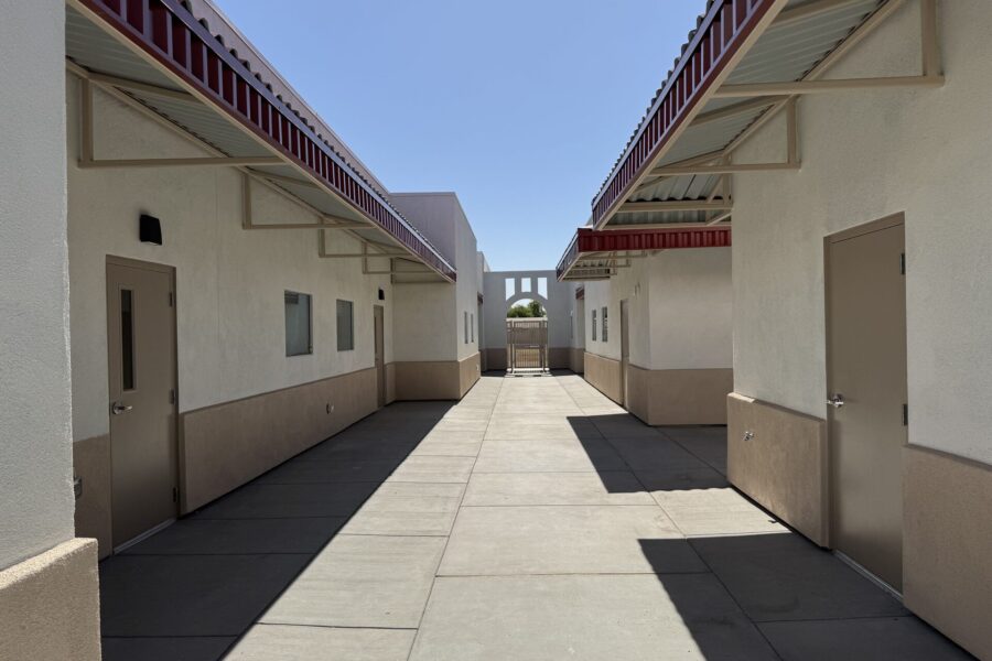 project-litchfield-palm-valley-004