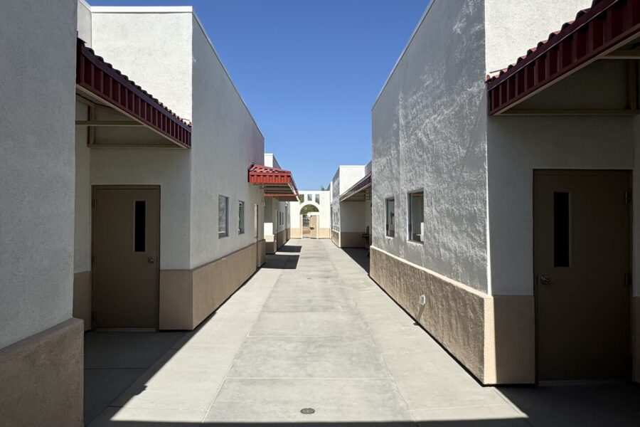 project-litchfield-palm-valley-005