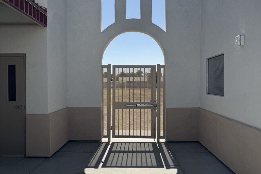 project-litchfield-palm-valley-006